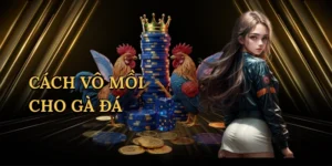 Cách vô mồi cho gà đá