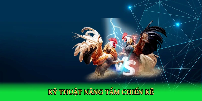 Kỹ thuật nâng tầm chiến kê