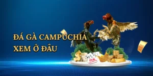 da-ga-campuchia-xem-o-dau-1