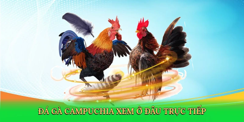 da-ga-campuchia-xem-o-dau-truc-tiep-2