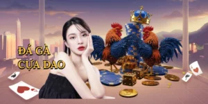 Đá gà cựa dao
