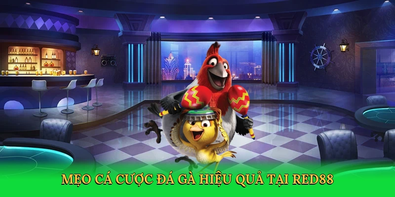 Mẹo cá cược đá gà hiệu quả tại RED88