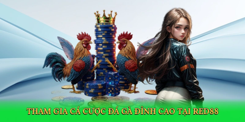 Tham gia cá cược đá gà đỉnh cao tại RED88