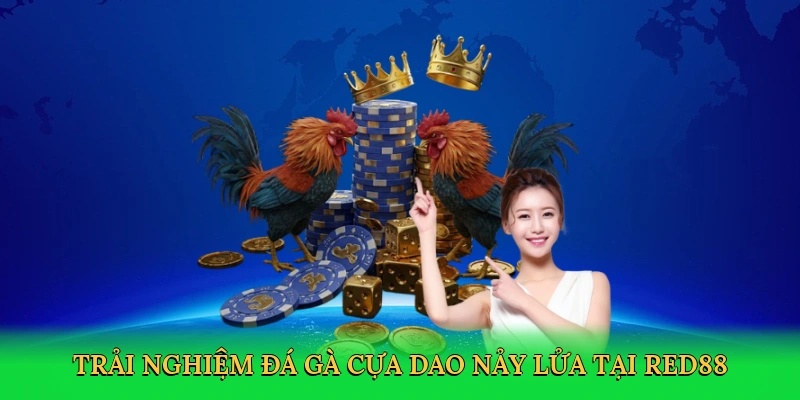 Trải nghiệm đá gà cựa dao nảy lửa tại RED88