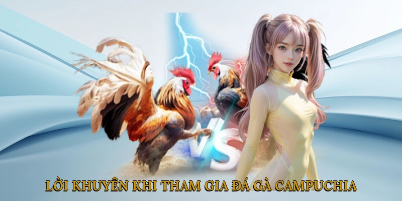 Những lời khuyên hữu ích khi tham gia đá gà Campuchia